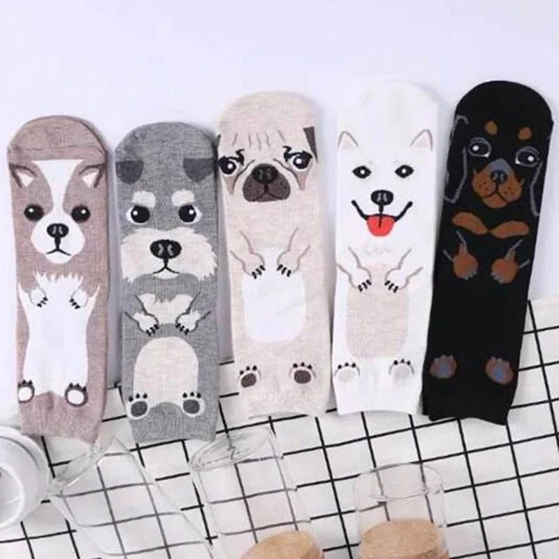 5 Pairs/pack Funny Cartoon Dog - مراجعة Cotton Crew Sock Pack وسعره