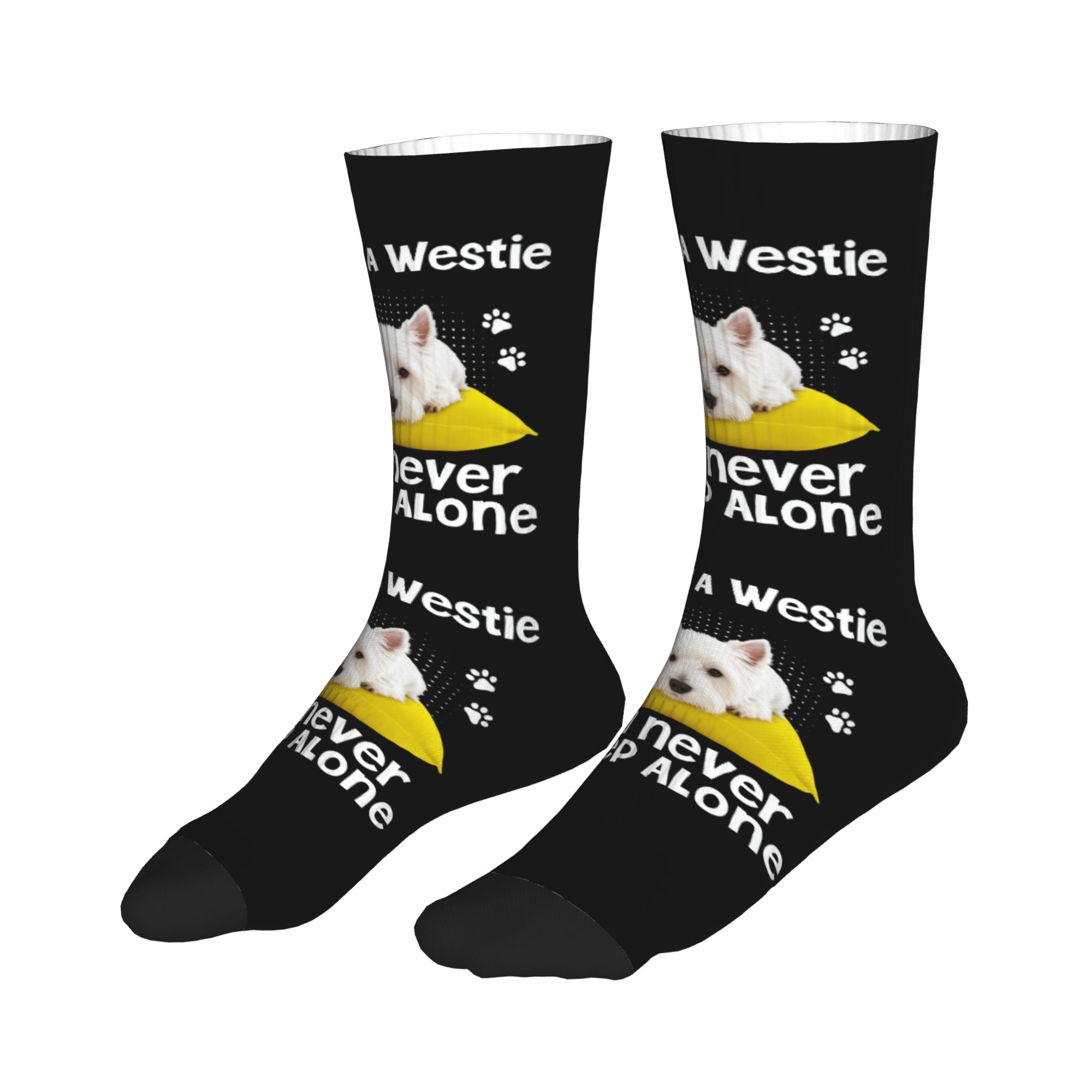 Fashion Men's Adopt Westie Nev - مراجعة Dress Sock Men وسعره